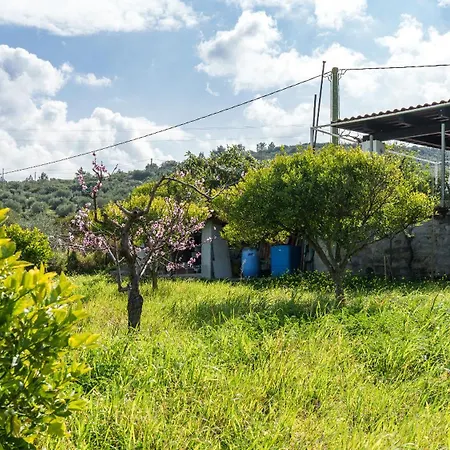 Villa La Del Relax *