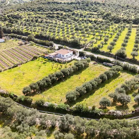 La Del Relax Villa *
