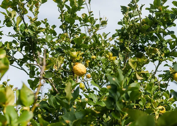 La Del Relax Villa Sennori